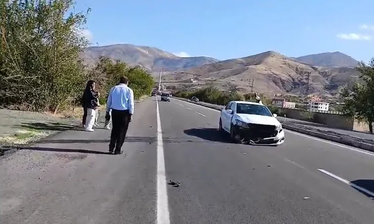 Elazığ’da otomobilin köpeğe çarpması sonucu meydana gelen kazada, 1 kişi