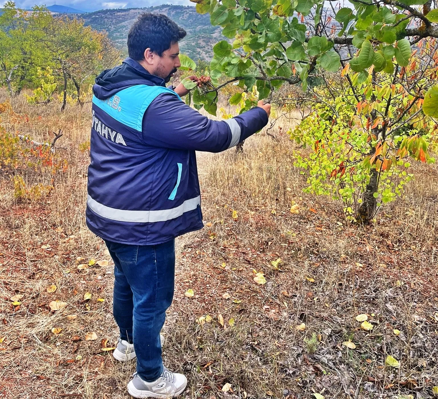 Kütahya Emet İlçe Tarım ve Orman Müdürlüğü teknik personeli tarafından,