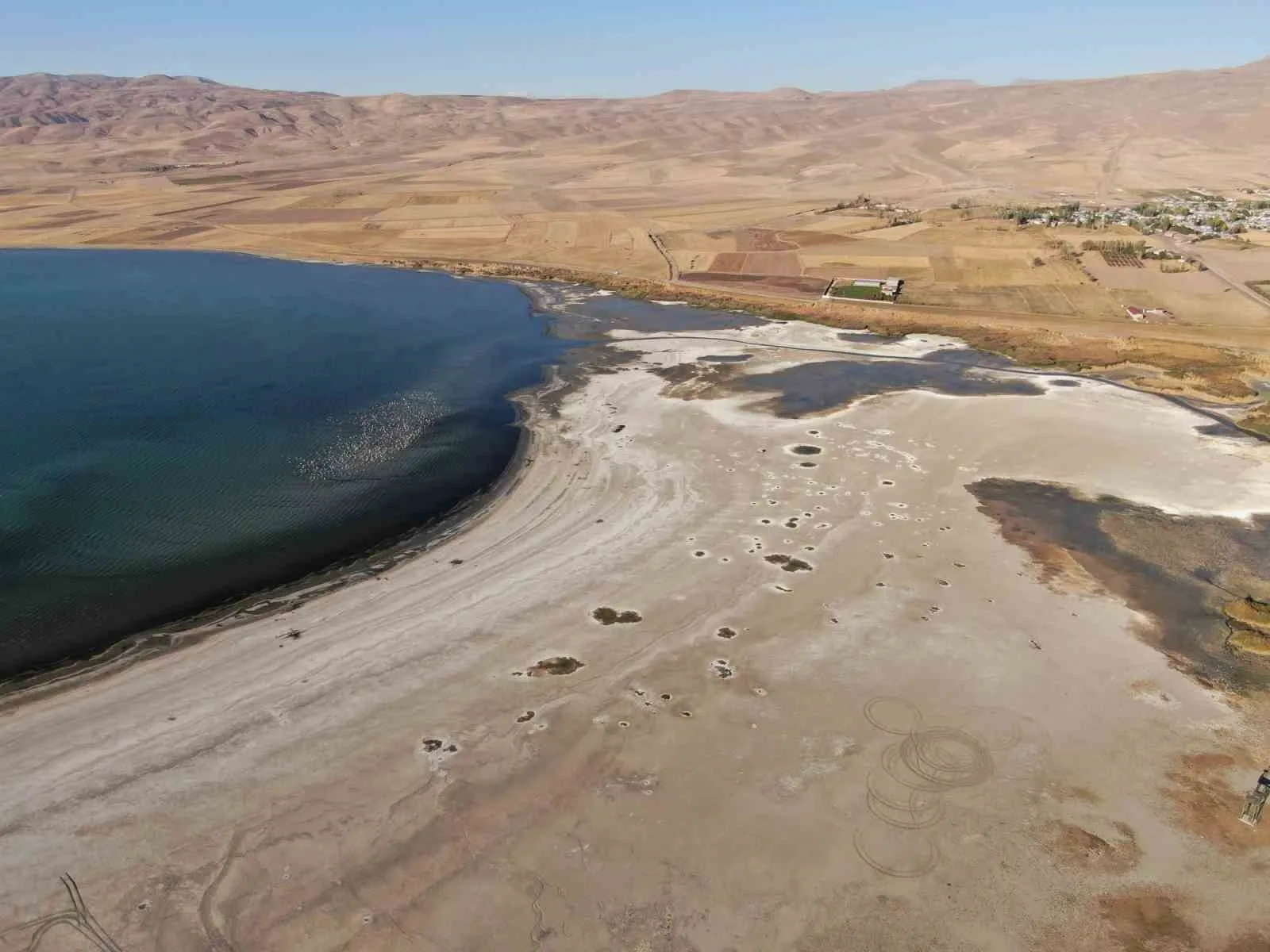 Van’ın önemli sulak alanlarından biri olan Erçek Gölü, yaşanan kuraklık