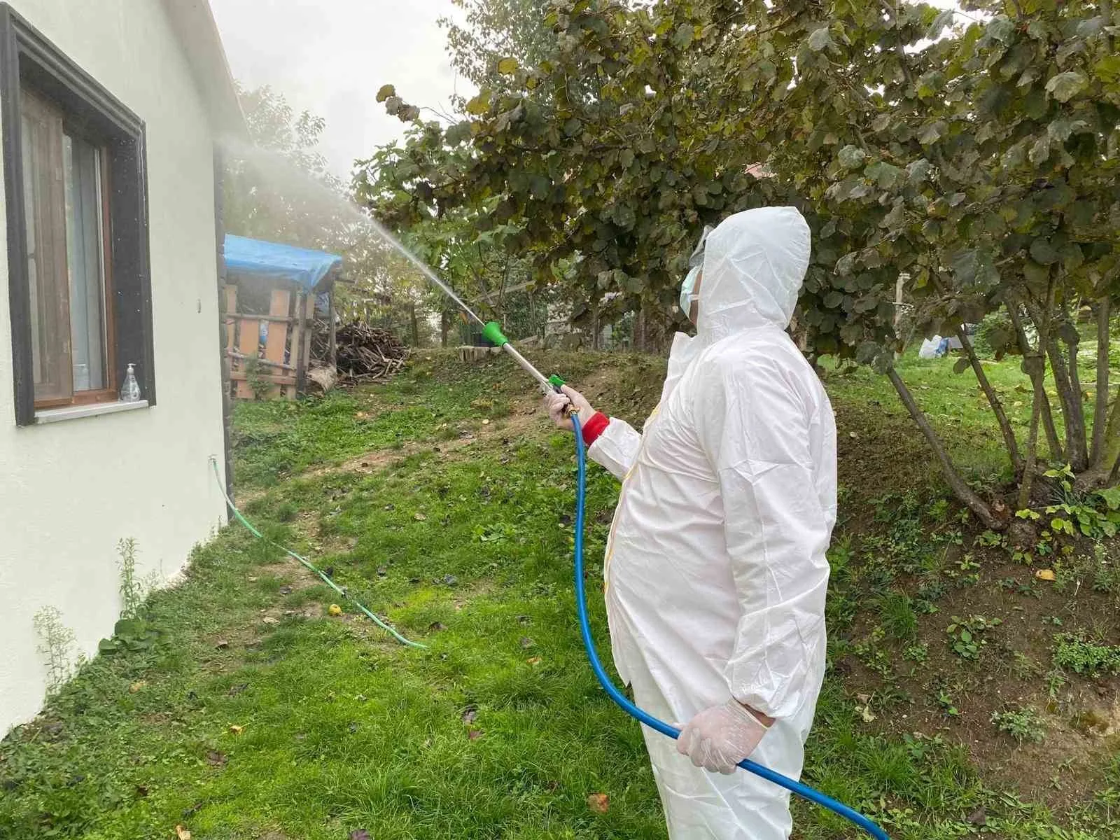 Erenler Belediyesi kahverengi kokarca böceğine yönelik çalışmalarını sürdürüyor. Belediyeden yapılan