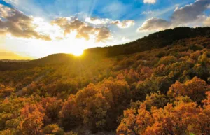 Erzincan ile Tunceli arasında sınır oluşturan ve sonbaharın sonuna doğru