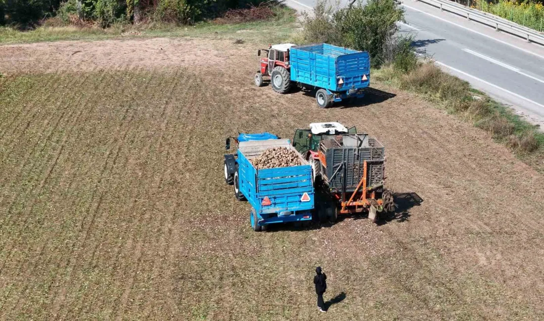 Türkiye’nin en yüksek şeker oranına sahip pancarların yetiştiği illerden birisi