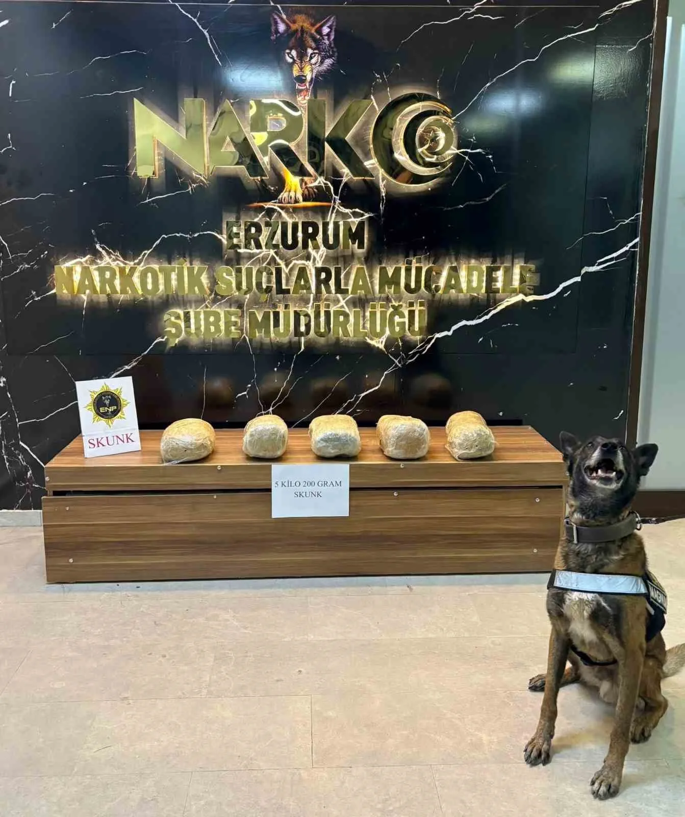 Erzurum’da polis ekiplerinin düzenlediği operasyonda 5 kilo 200 gram skunk
