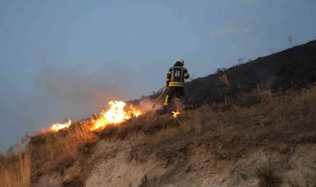 Erzurum’da havai fişek nedeniyle çıkan ot yangını itfaiye ekiplerince söndürüldü.