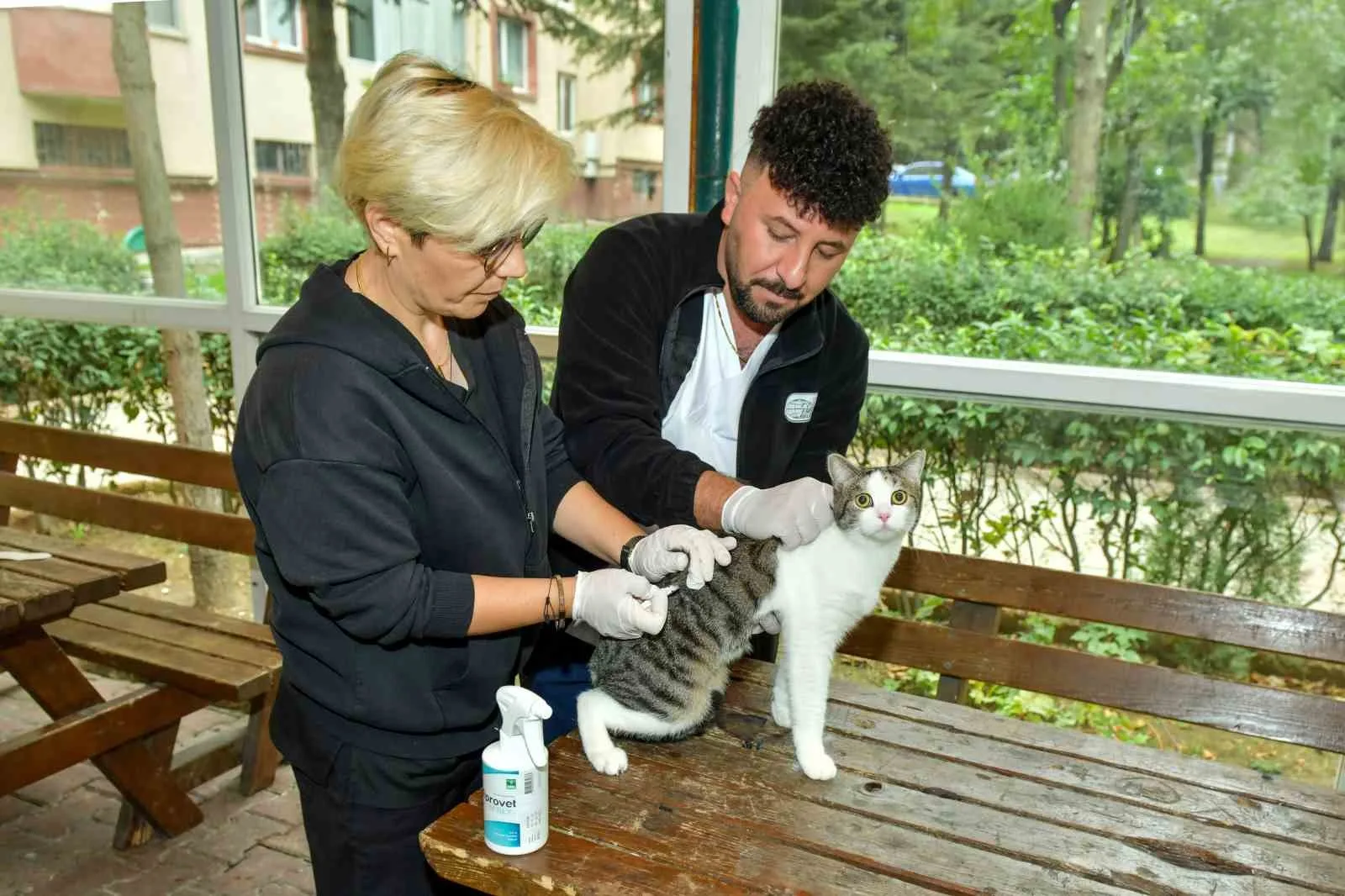 Esenyurt Belediyesi Veteriner İşleri Müdürlüğü, ilçedeki sokak hayvanlarının sağlığını korumaya