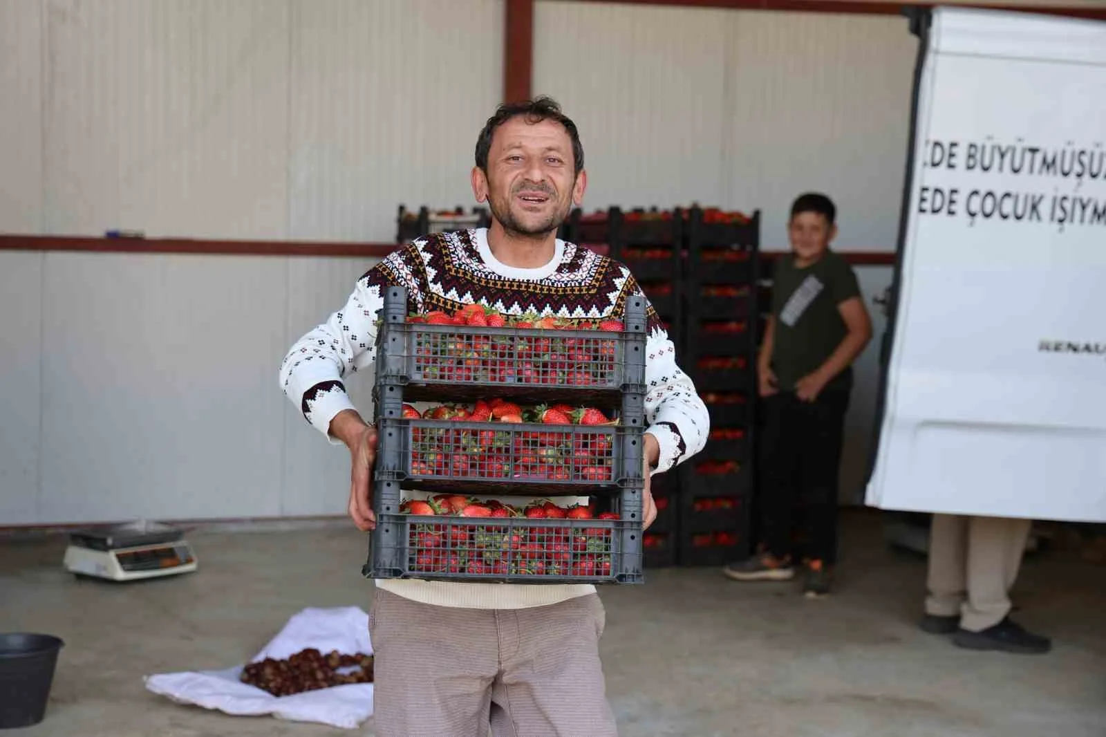 Türkiye’de en fazla çilek üretiminin yapıldığı illerin başında gelen Aydın