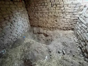 Eskişehir’de kardeşi tarafından öldürüldükten sonra gömüldüğü ahırdan 14 yıl sonra