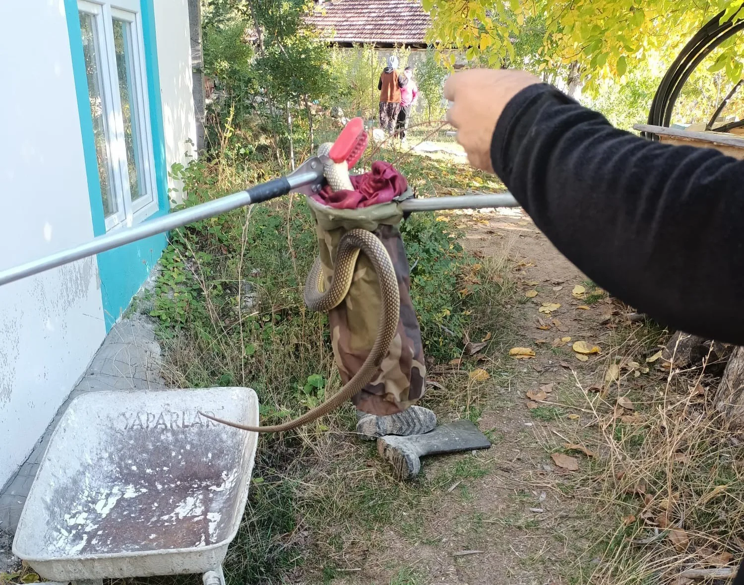 Denizli’nin Çameli ilçesinde bir evin içinde bulunan yılan korkuya neden