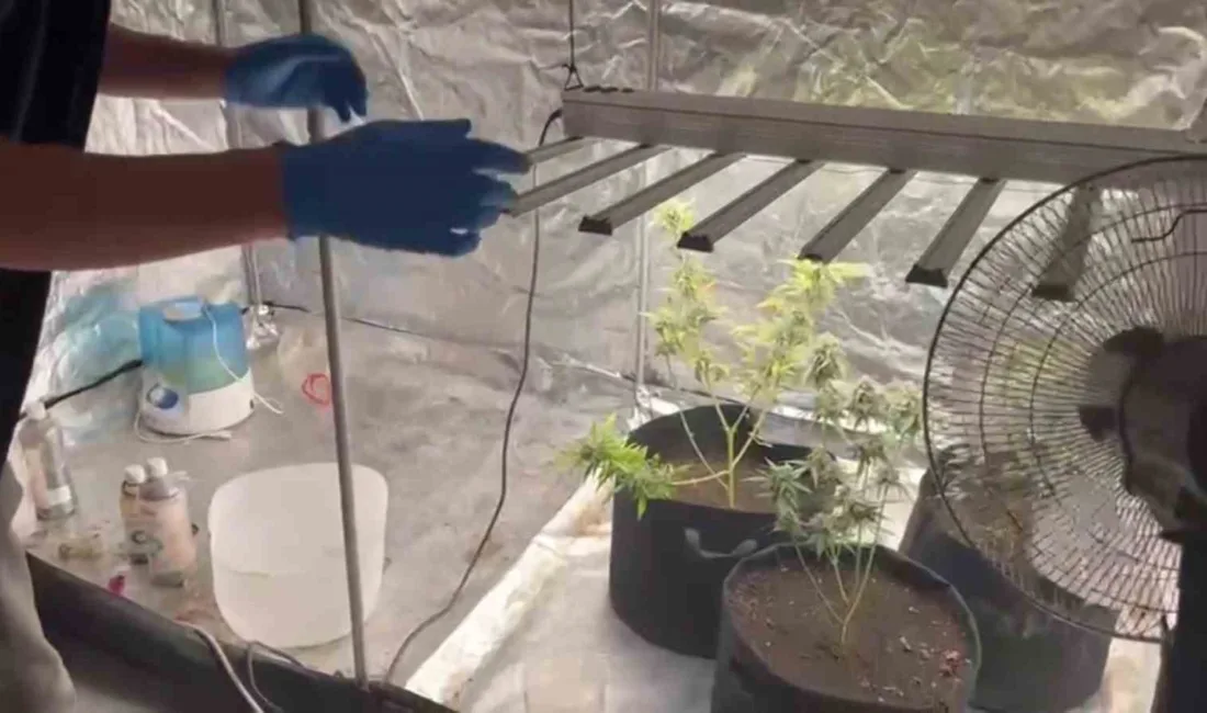 Adana’da kiraladığı evde kurduğu iklimlendirme sistemi ile uyuşturucu yetiştiren şüpheli