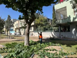 Eyyübiye’de kişi başına düşen yeşil alan miktarını artırmak için çalışmalarına