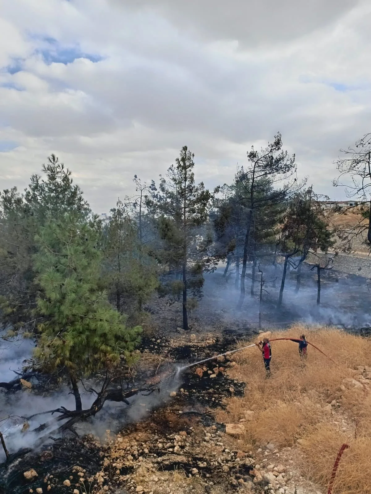 Adıyaman’ın Besni ilçesinde bir fabrikanın içerisindeki ağaçlık alanda çıkan yangın