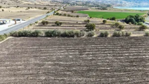 Yıllarca Fransa’da yaşayan ve doğduğu topraklara dönerek tarıma başlayan Hava