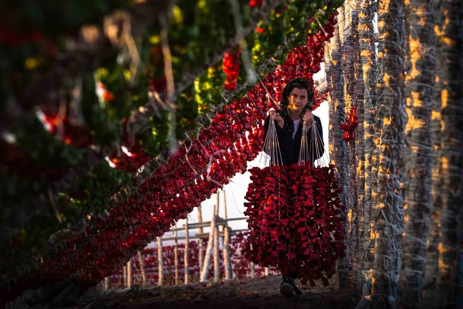 UNESCO Gastronomi Kenti Gaziantep’in geleneksel mutfak kültürünün vazgeçilmez simgeleri sebze