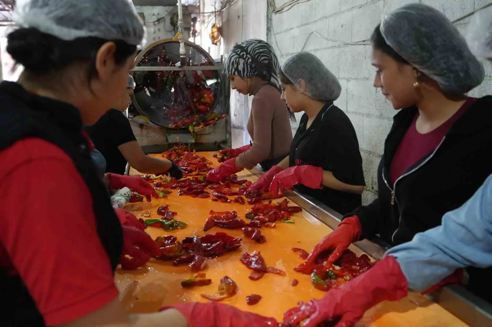 Gaziantep’te kırmızı biber hasadının ardından başlayan kış hazırlıkları kapsamında salça