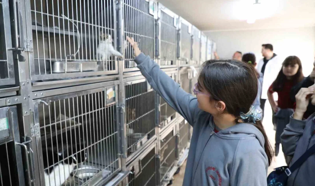 Gaziosmanpaşa Belediyesi tarafından 4 Ekim Dünya Hayvanları Koruma Günü’ne özel
