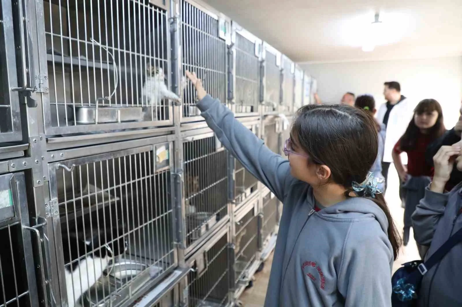 Gaziosmanpaşa Belediyesi tarafından 4 Ekim Dünya Hayvanları Koruma Günü’ne özel