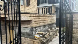 Kocaeli’nin Gebze ilçesinde evine girmeye çalışan 14 yaşındaki çocuğun üzerine,