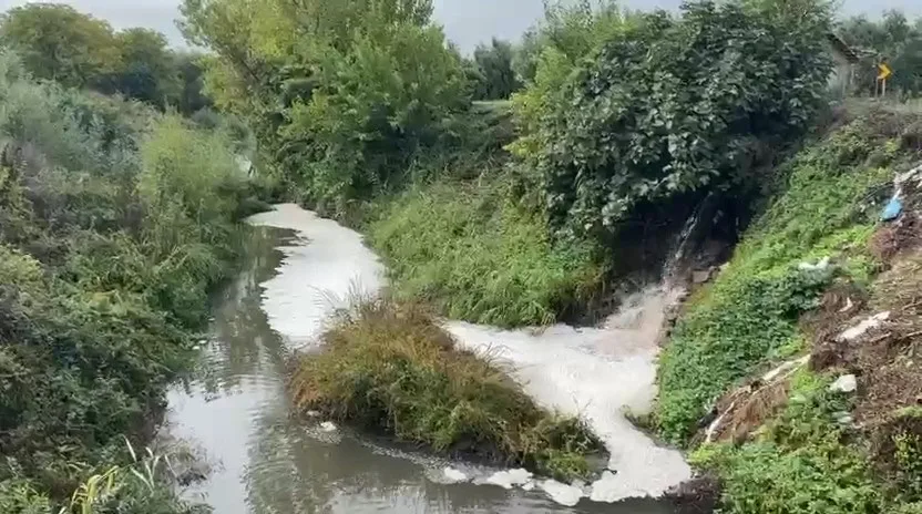 Orhangazi’de, Marzim Sanayi Bölgesi yakınlarından geçen Karsak Deresi’ne karışan kirli