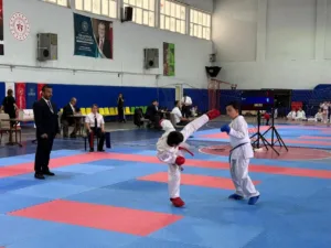 Cumhuriyet Bayramı etkinlikleri kapsamında tatamiye çıkan 250 sporcu, hünerlerini sergiledi.
