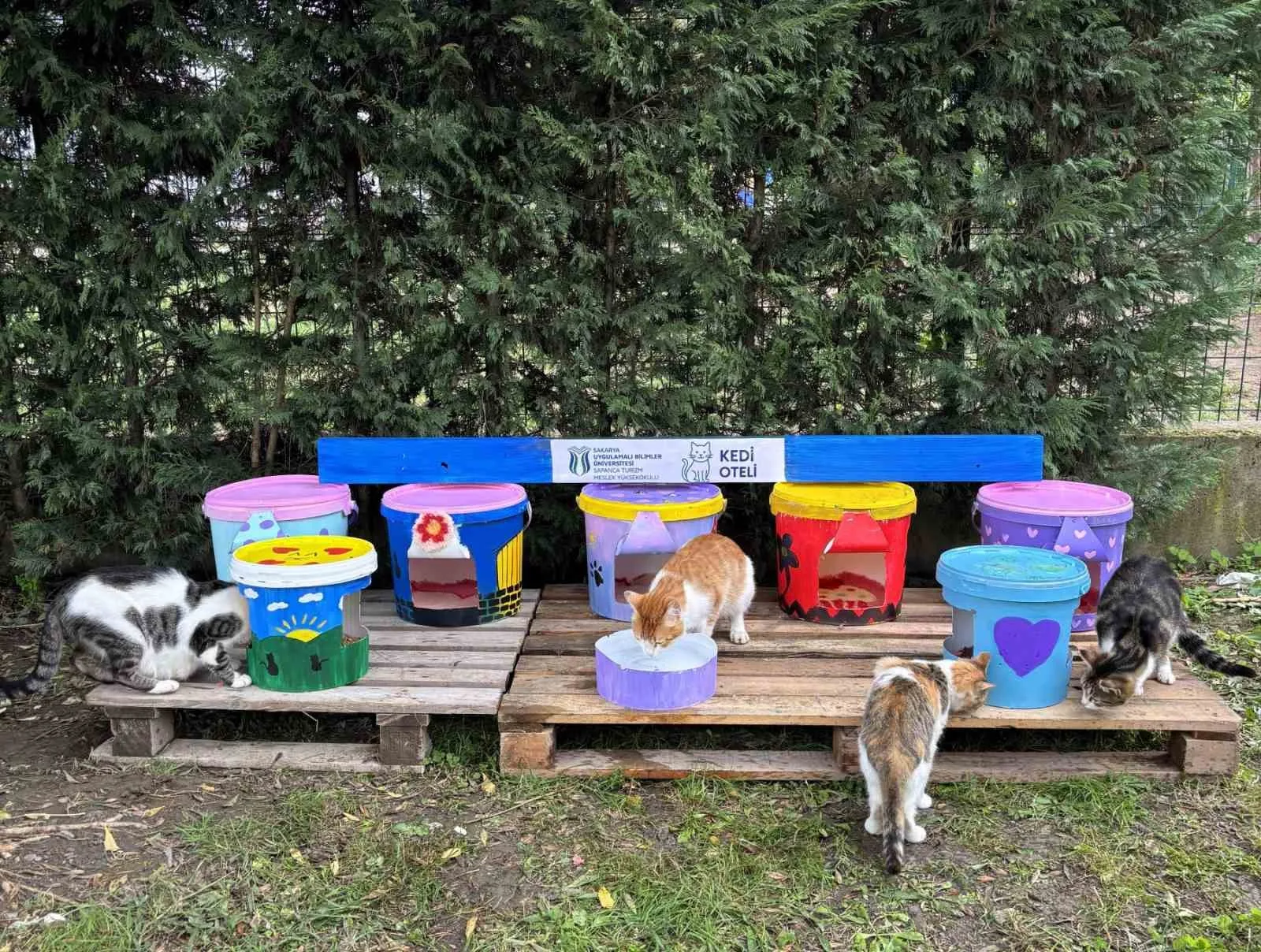 SUBÜ Sapanca Turizm MYO öğrencileri, sürdürülebilirlik anlayışıyla geri dönüştürdükleri yoğurt