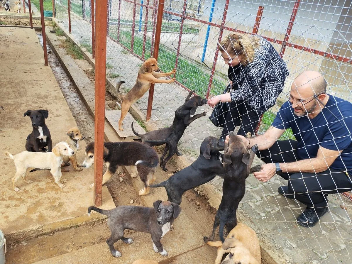 Germencik Belediyesi tarafından hayata geçirilen Sokak Hayvanları Rehabilitasyon Merkezi, açılış