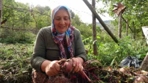 Giresun’un yüksek köylerinde köylü kadınlar, yaz boyunca yetiştirdikleri sebze ve