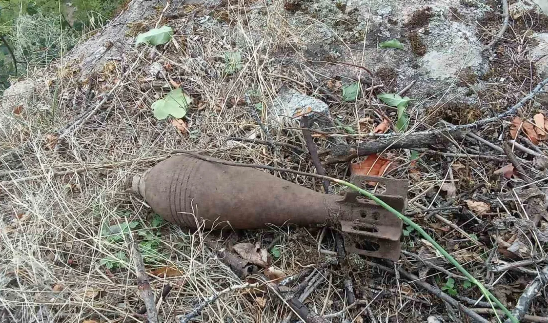 Gümüşhane’nin Torul ilçesine bağlı Atalar köyünde, 1. Dünya Savaşı döneminde