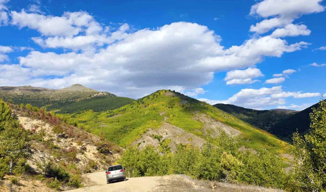 Sonbahar mevsiminin Türkiye’de en güzel yaşandığı şehirlerden biri olan Gümüşhane’de