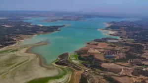 Güney Kore’de yapılan bir araştırmada Çukurova bölgesinin 5 yıl sonra