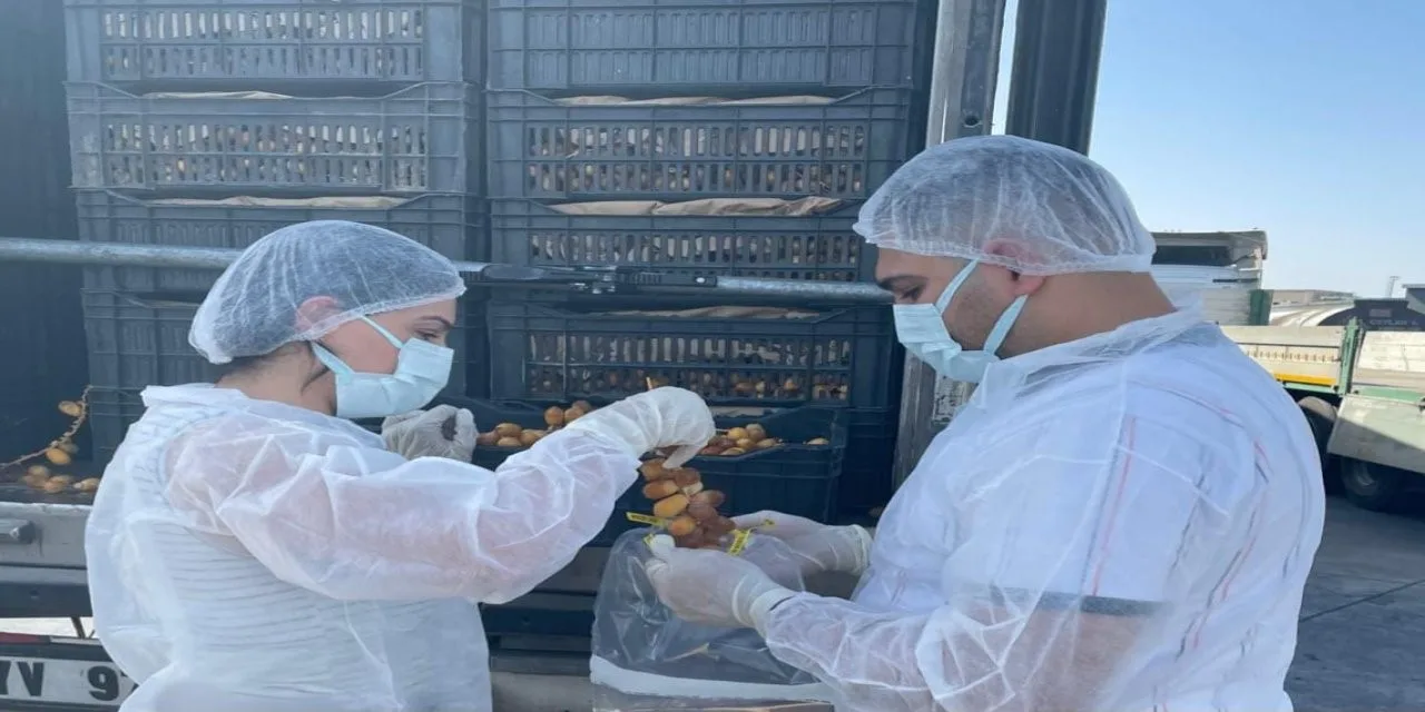 Tüketici sağlığının korunması amacıyla Şırnak’taki Habur Sınır Kapısından ithal edilen