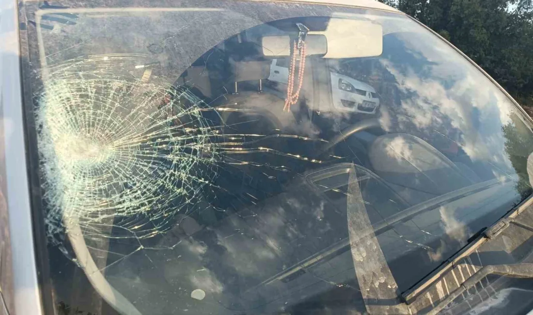 Adıyaman’ın Gölbaşı ilçesinde hafif ticari aracın çarptığı yaya yaralandı. Edinilen