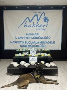 Hakkari’de polis ekipleri tarafından yapılan çalışmalarda 43,1 kilogram uyuşturucu ele