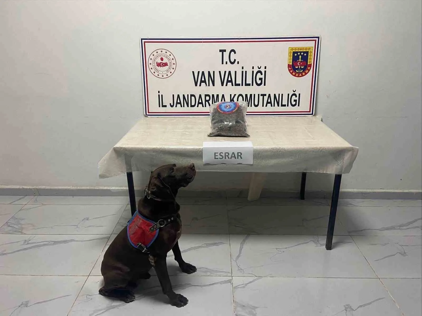 Van İl Jandarma Komutanlığı ekiplerinin Hakkari’nin Yüksekova ilçesinde müşterek olarak