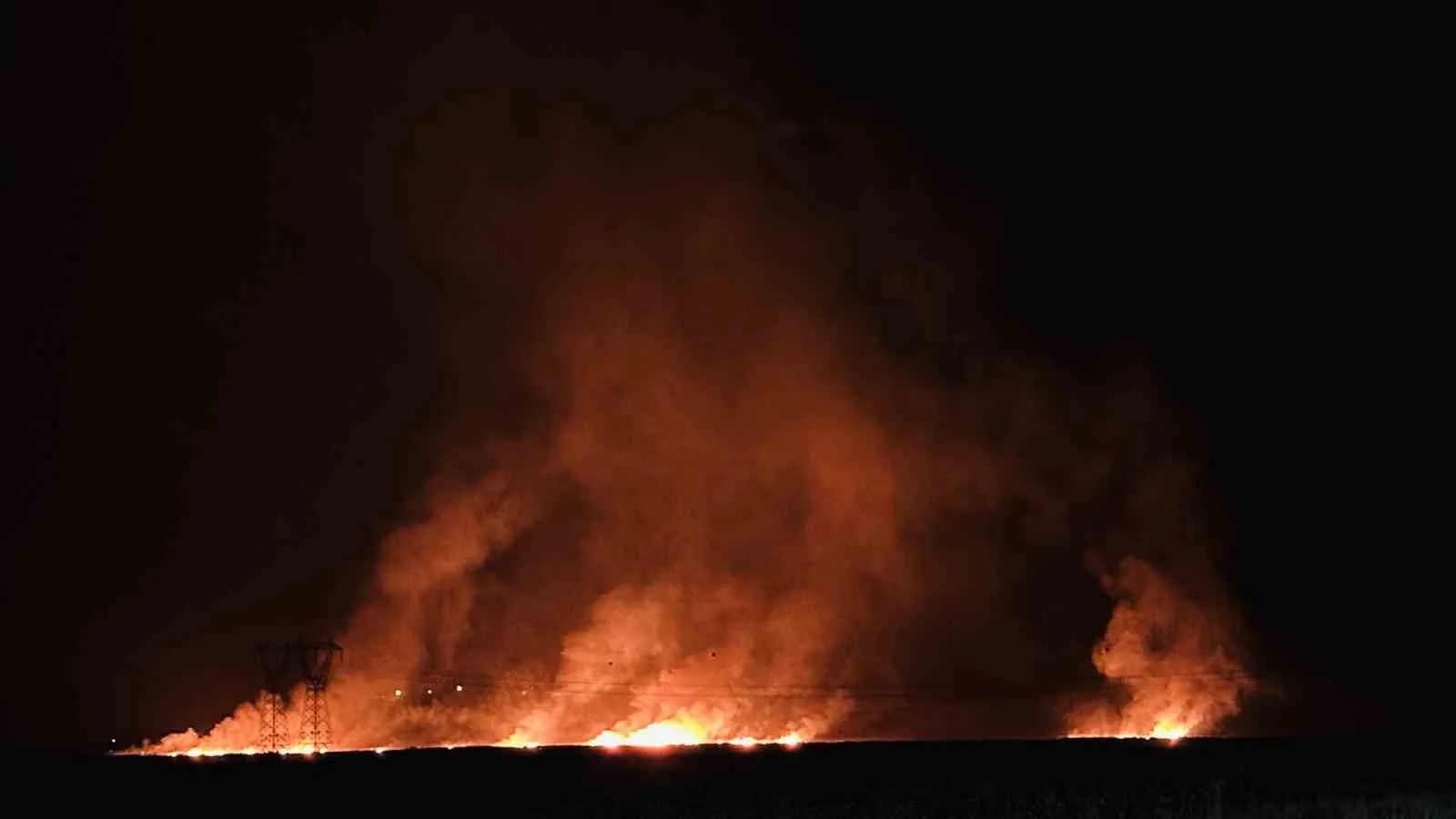 Hakkari’nin Yüksekova ilçesinde çok sayıda kuş türüne ev sahipliği yapan