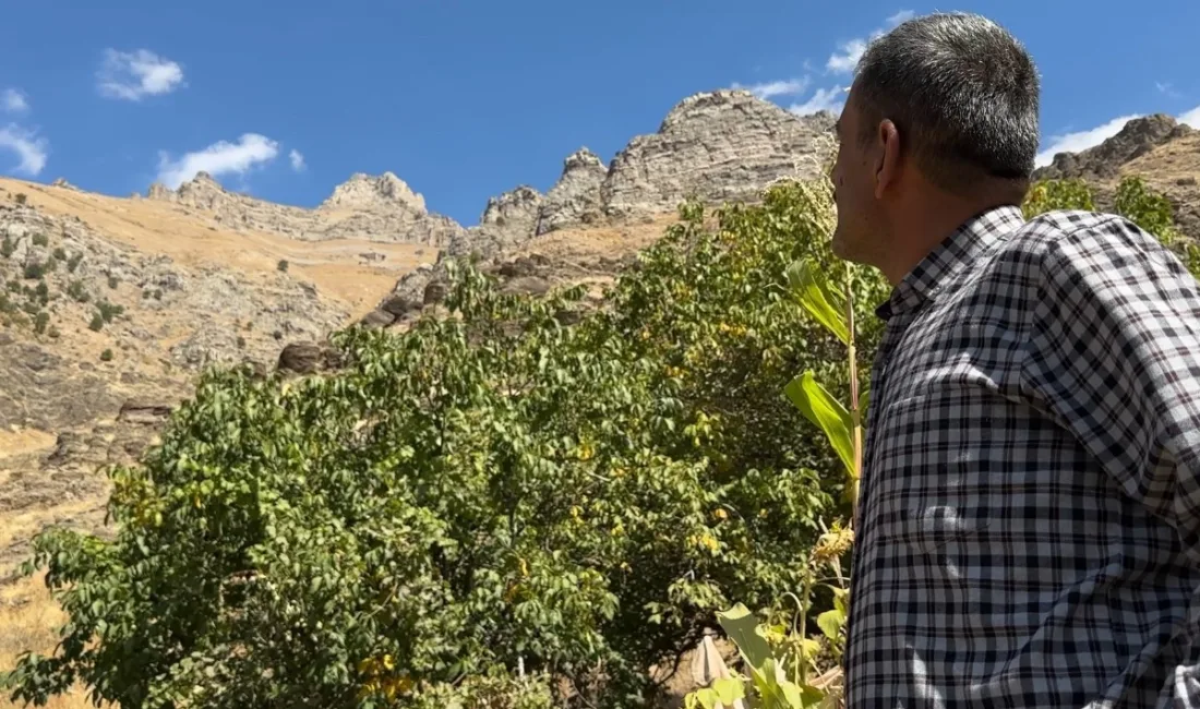 HAKKARİ (İHA) – Hakkari’nin Ceylanlı köyünde bulunan ve ‘Dağ Keçileri