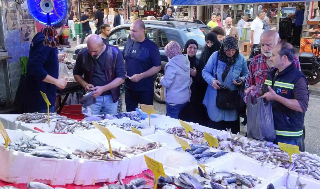 Samsun’da yakın zamana kadar kilosu 300 TL’den satılan hamsinin fiyatının