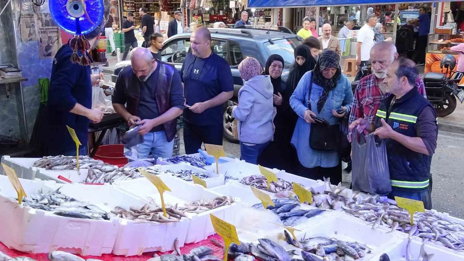 Samsun’da yakın zamana kadar kilosu 300 TL’den satılan hamsinin fiyatının
