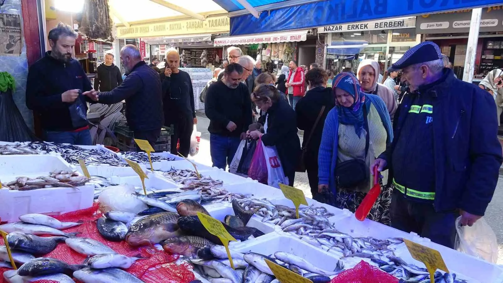 SAMSUN (İHA) – Yakın zamana kadar kilosu 300 TL’den satılan