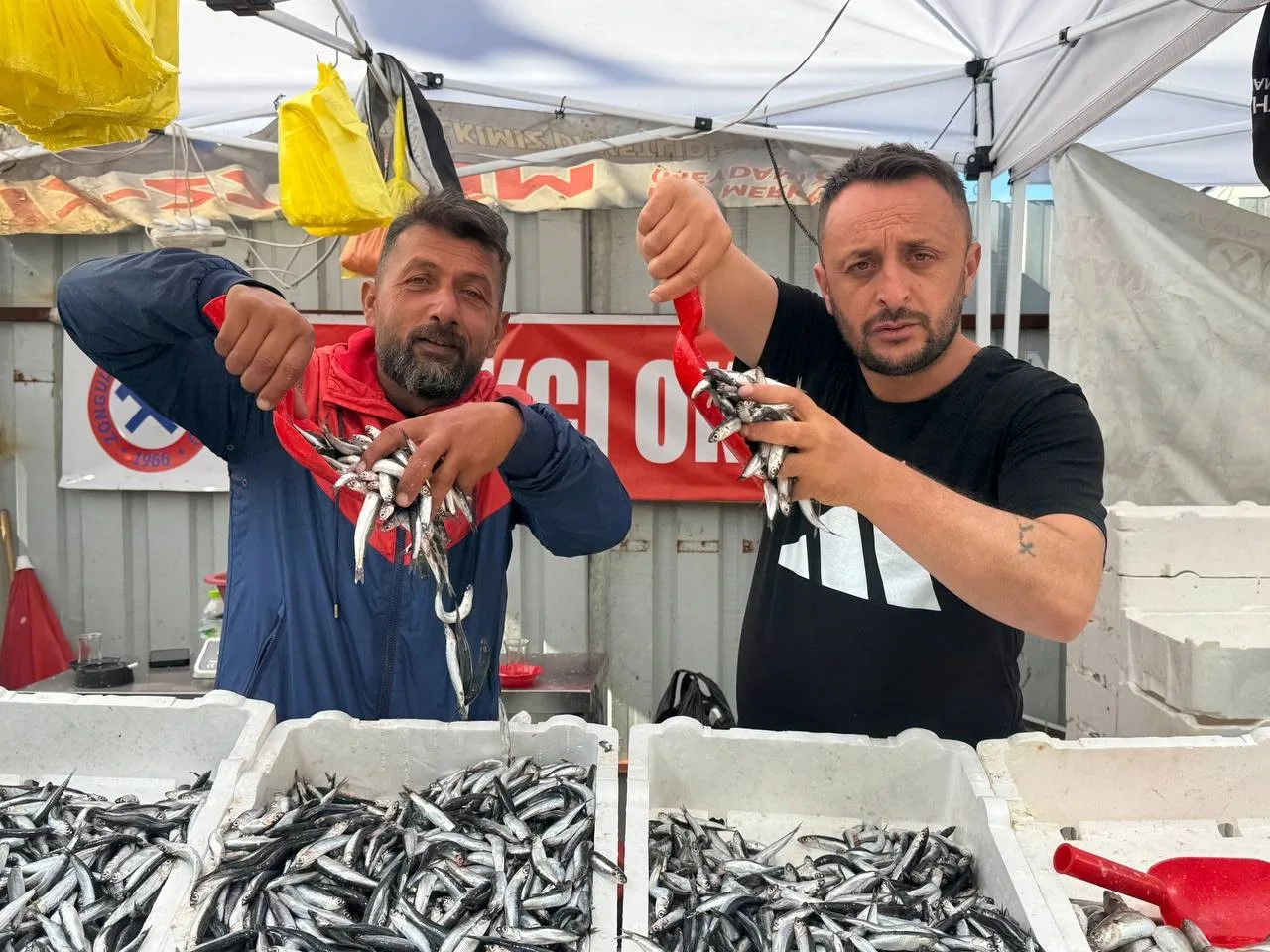 Zonguldak Merkez balık halinde yerli hamsinin kilosu 70 liraya düştü.