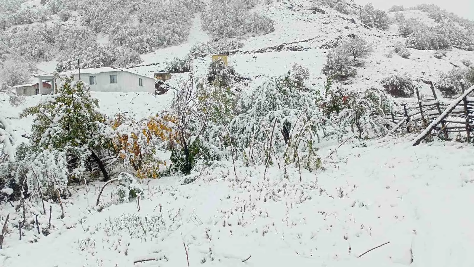 Erzincan’ın Tercan ilçesine bağlı yüksek kesimler yağan karla birlikte beyaz