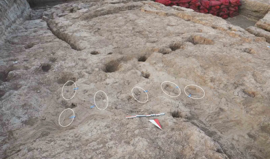 Hatay’ın Reyhanlı ilçesi Karahüyük Mahallesi’ndeki Tell Kurdu Höyüğünde yürütülen kazılarda,