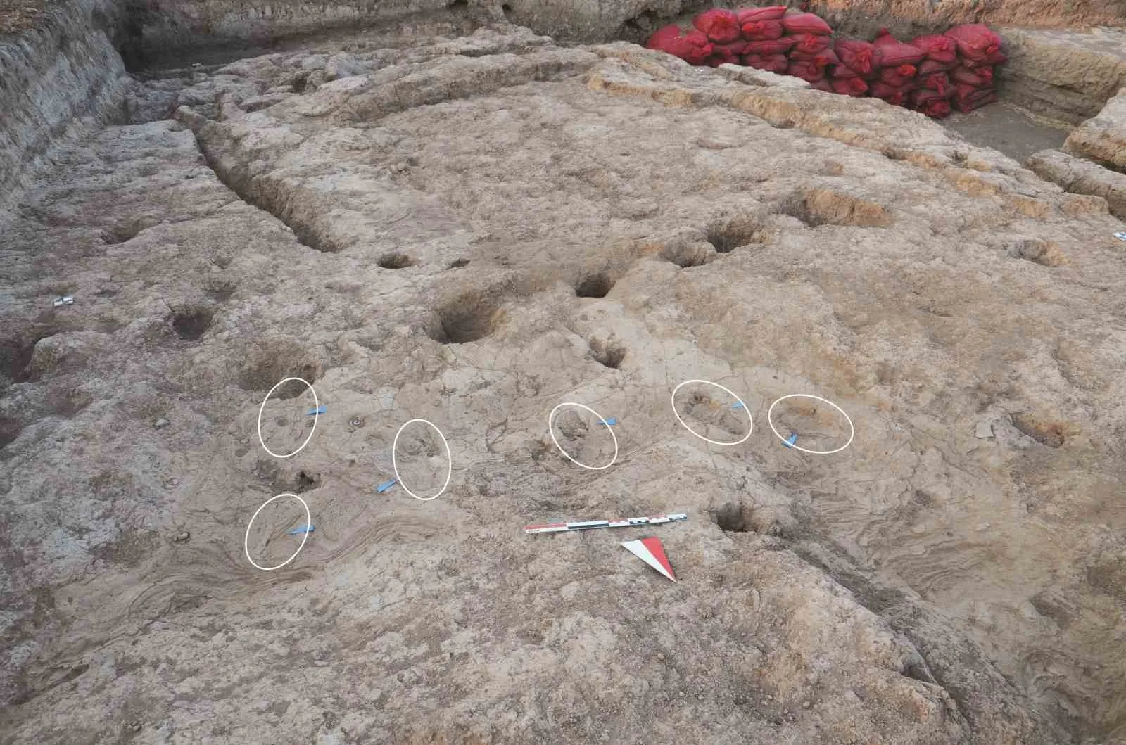 Hatay’ın Reyhanlı ilçesi Karahüyük Mahallesi’ndeki Tell Kurdu Höyüğünde yürütülen kazılarda,