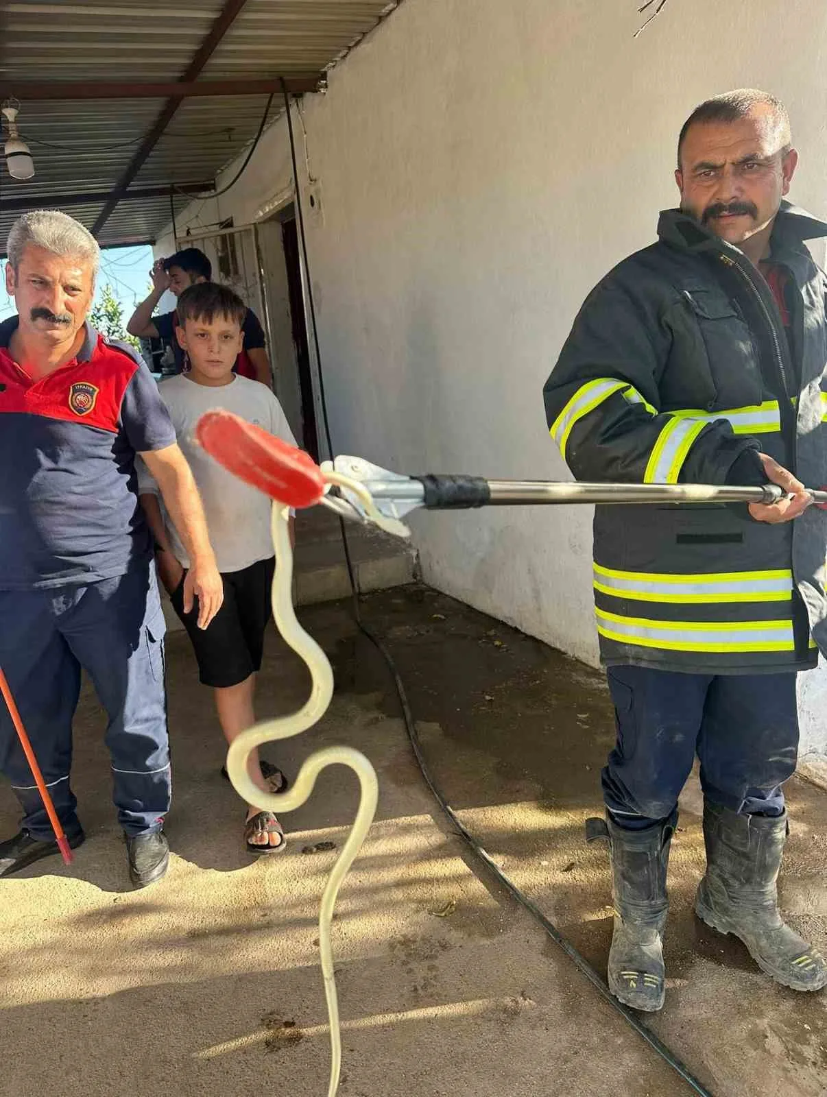 Hatay’da farklı evlere giren 2 yılan itfaiye ekipleri tarafından yakalandı.