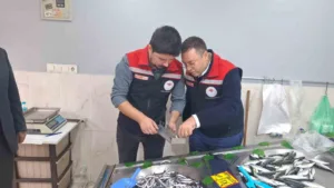 TEKİRDAĞ (İHA) – Tekirdağ’ın Hayrabolu ilçesinde balık satış noktaları, İlçe