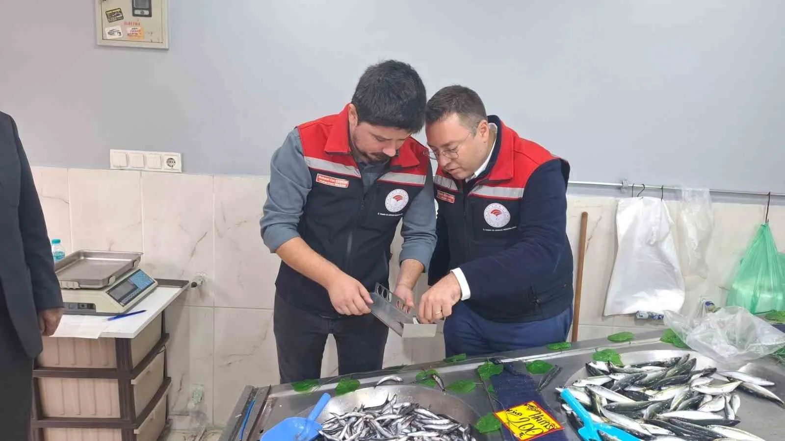 TEKİRDAĞ (İHA) – Tekirdağ’ın Hayrabolu ilçesinde balık satış noktaları, İlçe