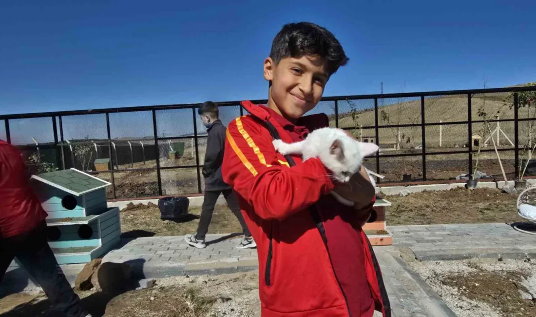 Yozgat Belediyesi’nce Evcil Köy yerleşkesinde yapımı tamamlanan Kedi Oteli, düzenlenen