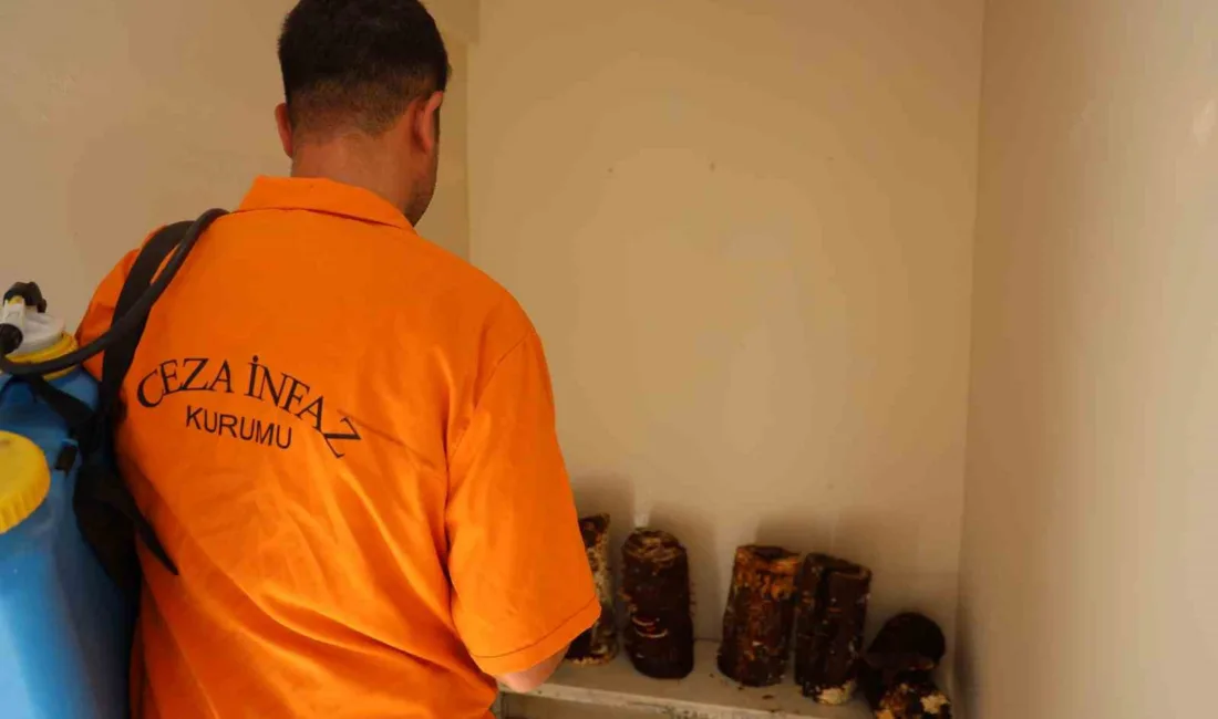 Adana’da Kozan M Tipi Açık ve Kapalı Ceza İnfaz Kurumu’nda