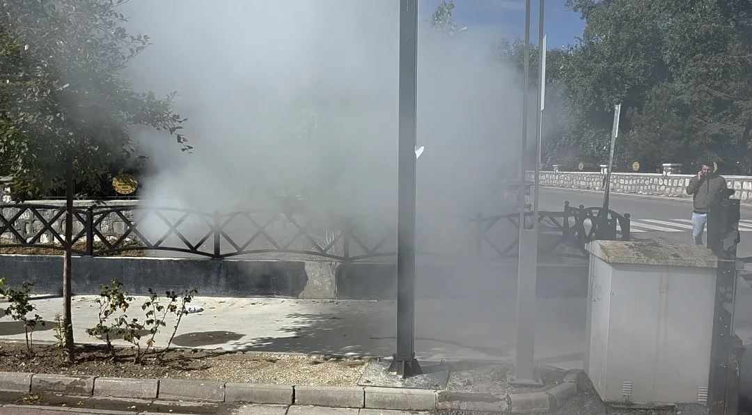 Kütahya’da belediye ekipleri tarafından haşerata karşı yürütülen ilaçlama çalışması, kısa