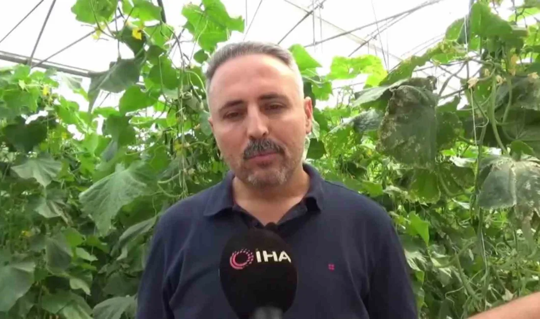 Diyarbakır’ın Ergani ilçesinde devletten destek alarak 10 bin metrekarelik alanda