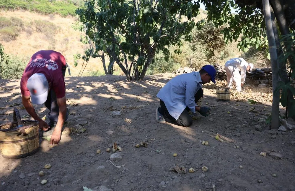 Aydın Ziraat Odaları İl Koordinasyon Kurulu ve Efeler Ziraat Odası